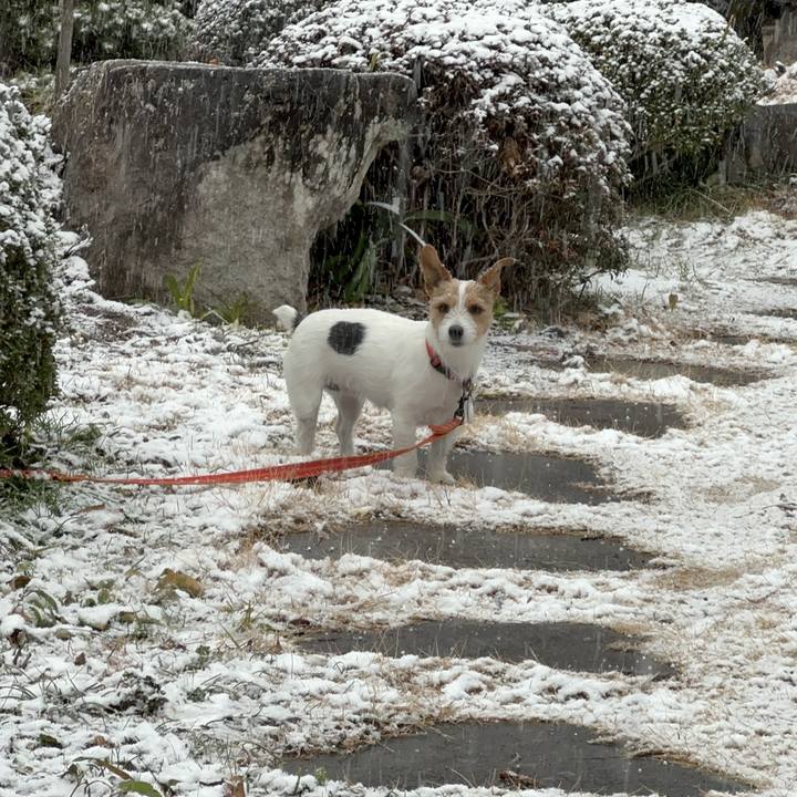 6dcb3048 8f10 46cd 810f 41e87d01dfe0 1770518464414