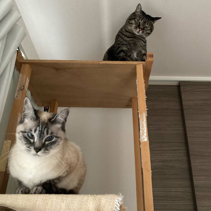 6dcb95a6 40cb 439c ba83 689a8e2bfbd8 1681605743325