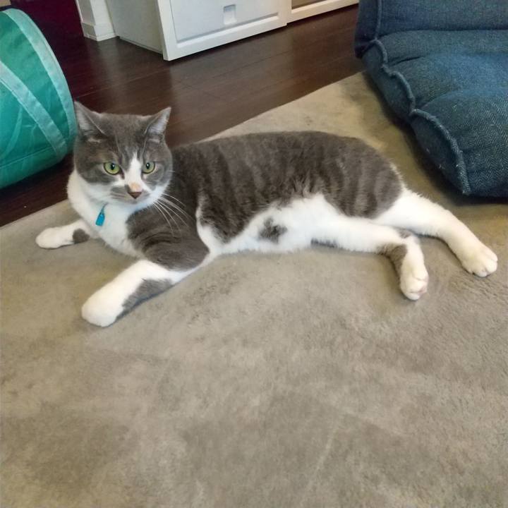 6dcb9db3 b155 4ec6 8cd3 b41004390395 1628914133781