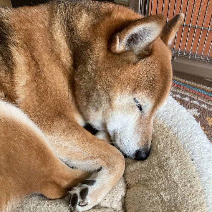 6dcbb4fa 4c0a 4527 9544 67f35f82aeb6 1642649050497