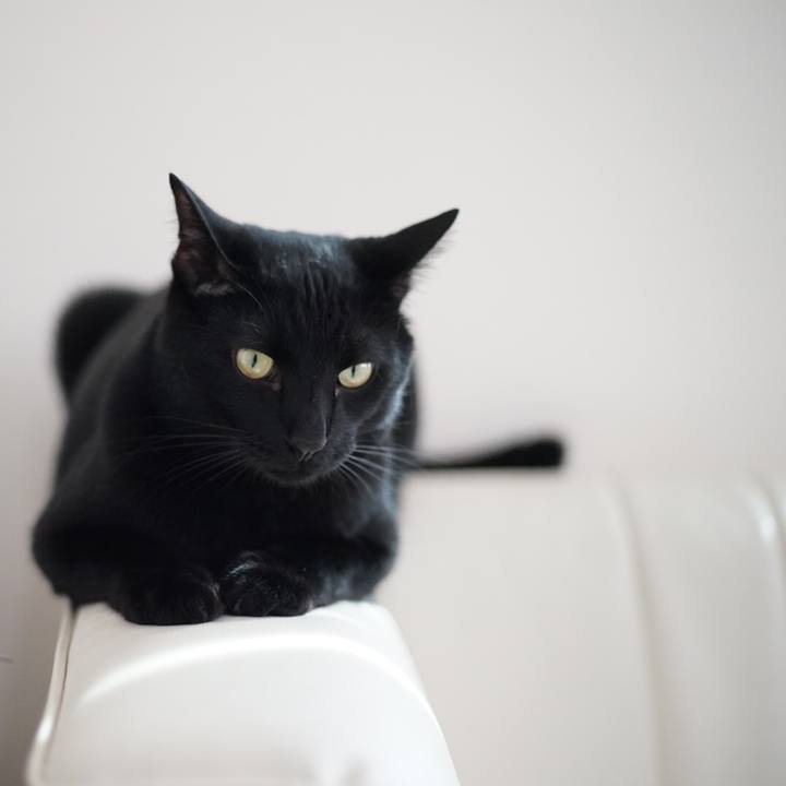 6dcc02d3 5f55 404e a00b 9973c86dc3a5 1526599801141