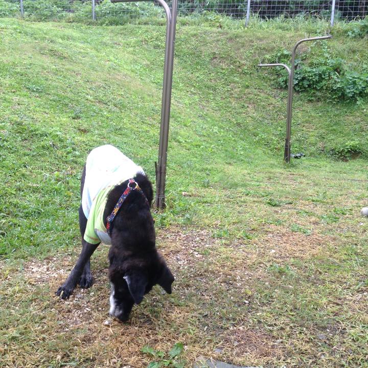 6dcc133a b8b2 438a 93e8 4e5a95730fb7 1513663946333