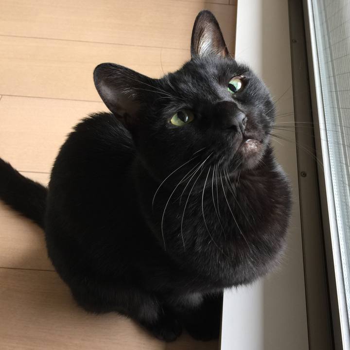 6dcca0e9 aa67 4bdc 8bd0 b03a8ec991d4 1587193798956