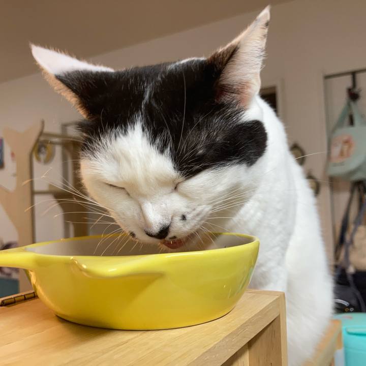 6dccc14c d3df 4bd7 83a4 6b802ea111aa 1761600063068