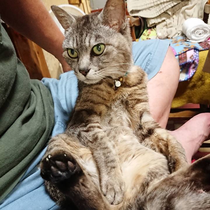 6dcccb80 c98a 473d b70b 16db0a0247fc 1564743390225