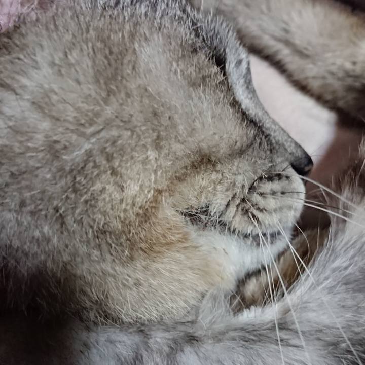 6dccf3a0 9d6d 48cf bd4a f6c1a40263c2 1591620305599