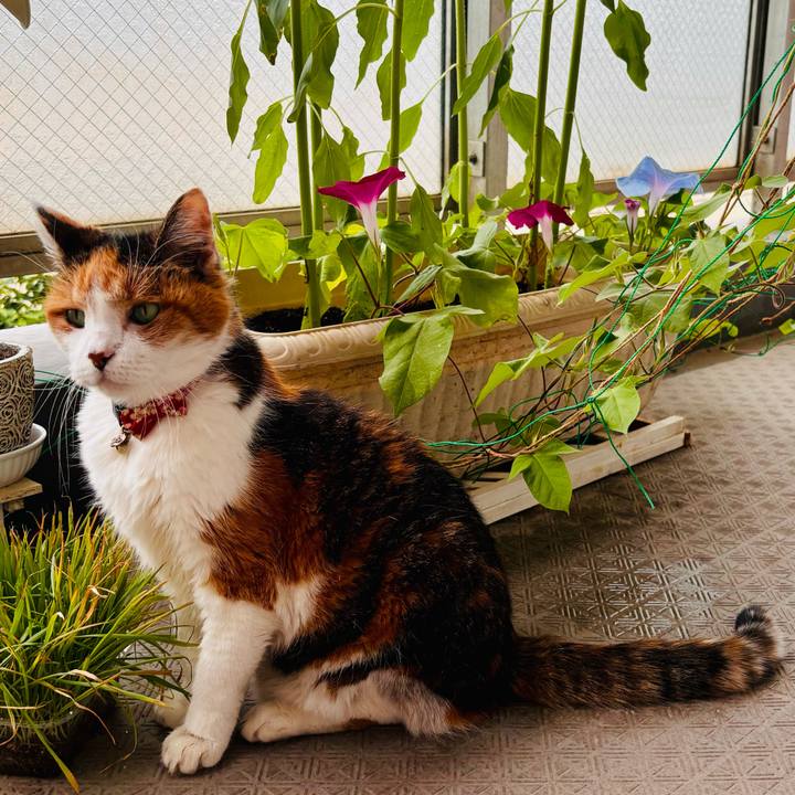 6dccf6fb f2e8 4d09 8727 862466780c03 1718495708368