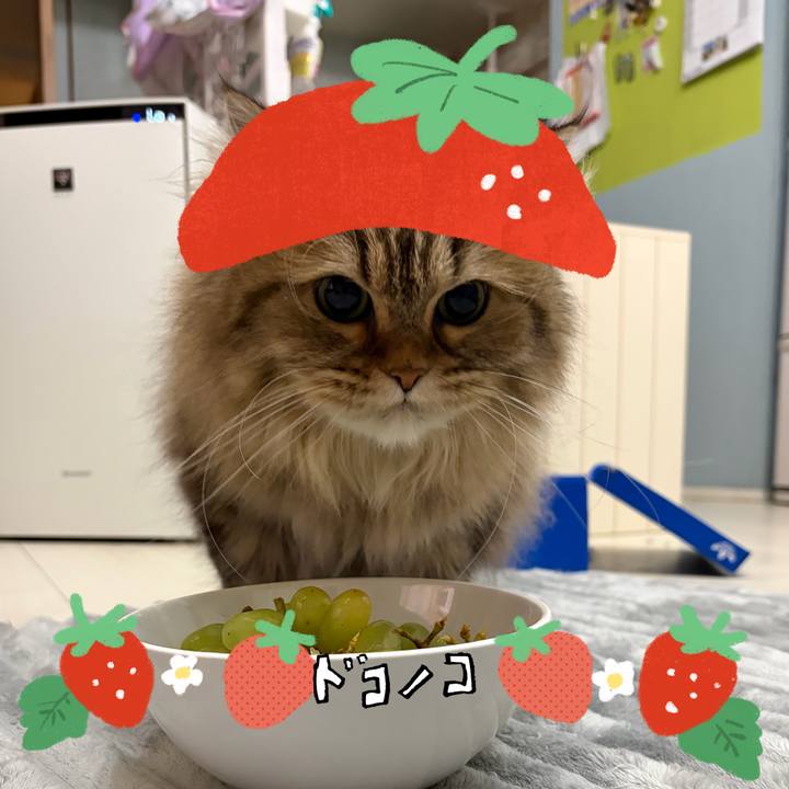 6dcd2063 9cd4 46aa bdc6 f55781465817 1775479114292