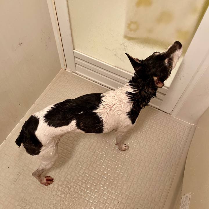 6dcd2b1e 9db2 449f a5cc 180d0bf446d5 1590279029328