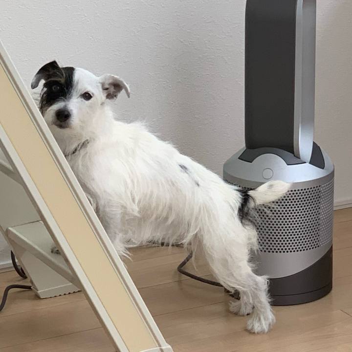 6dcd335a 00cd 4564 b1bf 1f778a03fa4f 1636862169821