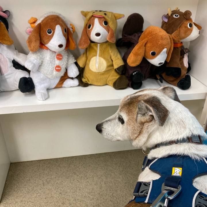 6dcd36d7 b1fb 4086 89ba 55fc0a1ccf88 1653569520666