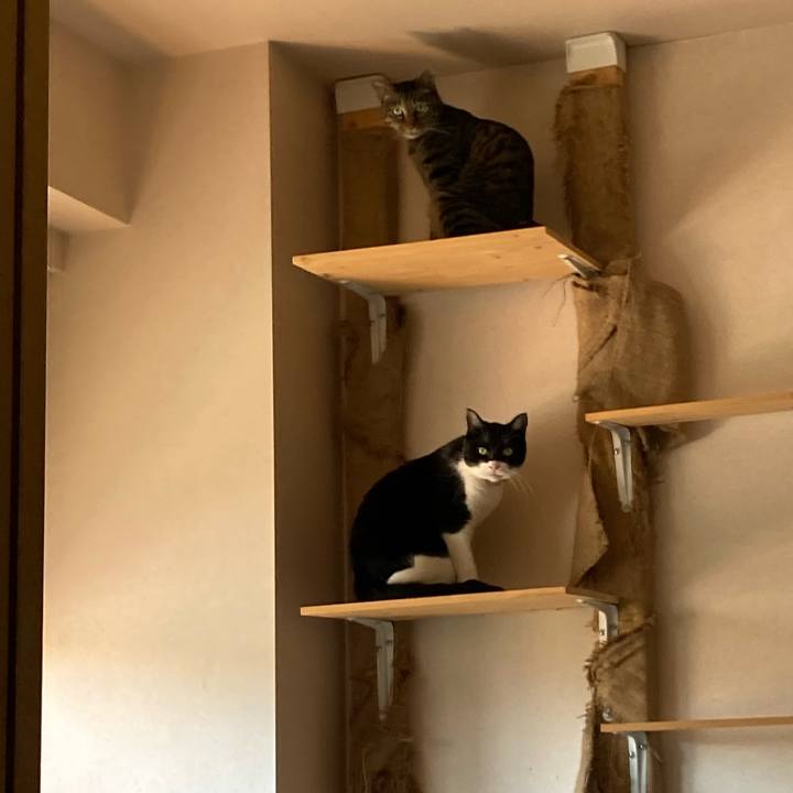 6dcd3946 d7e0 45a4 8d41 90931bfd46f3 1659253264360