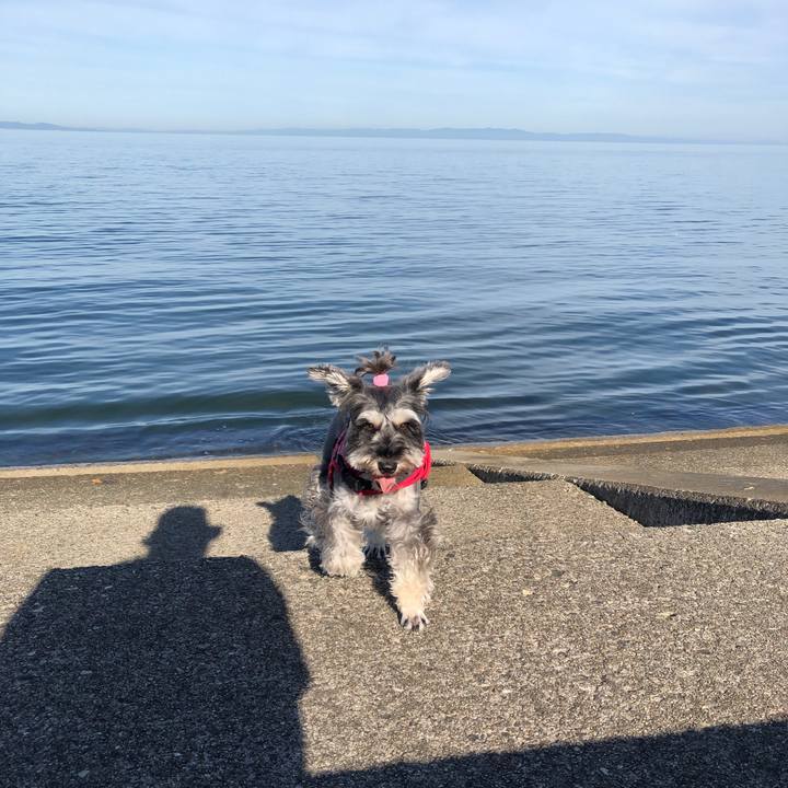 6dcd3b23 51d8 4e36 b8aa 7ae36af9d9d1 1567819364577