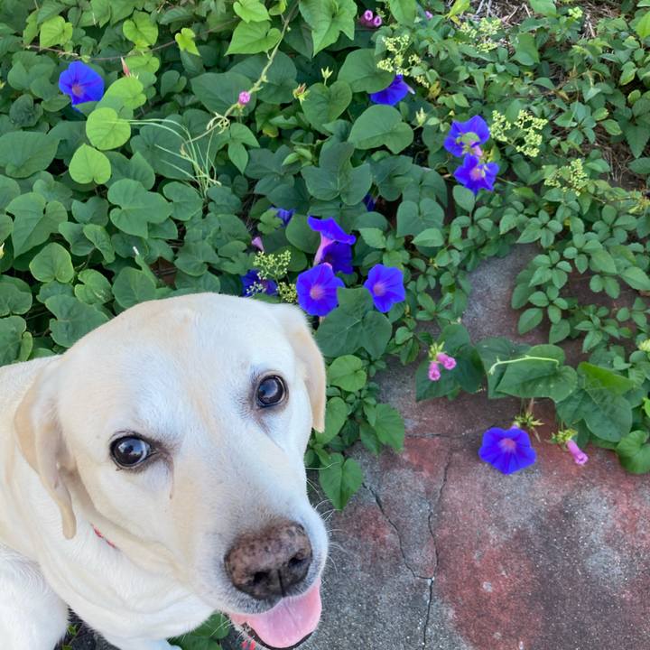 6dcd3b2c f028 403b a937 406f13ee5123 1752970684401