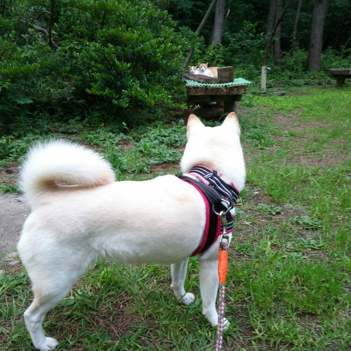 6dcd4bd4 169e 48f9 b15e 58946bbe8390 1563186524438