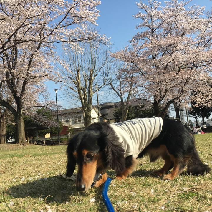 6dcd507a ceb4 45b9 9506 1a1bbde48a25 1522478910071