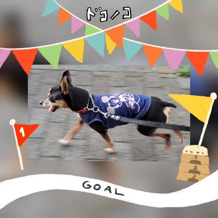 6dcd5454 18e4 4b85 a305 2c2b8233f567 1729300666833