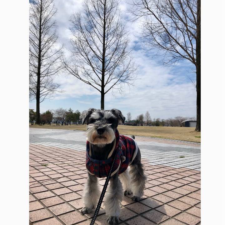 6dcd6ed0 c059 4c06 bfba 270659c73bdf 1648963211487