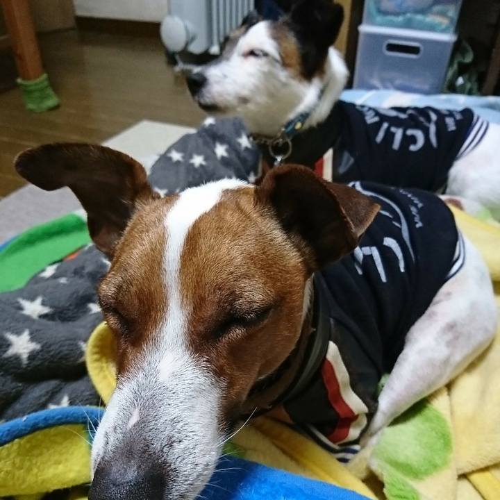 6dcd7190 cc48 48dd a192 cd258eb1d65d 1583624253610