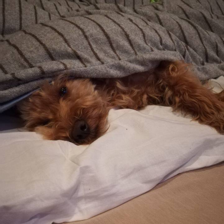 6dcdd7d5 cca8 4af2 8afd d7e7691cf5e1 1535375033313