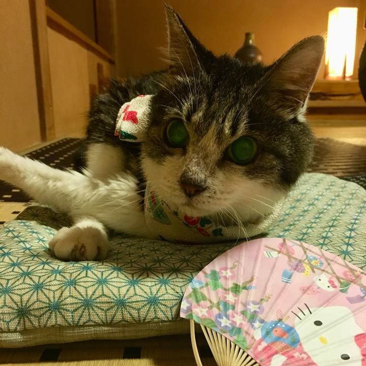 6dce0d40 d395 4c0c b60f f3453745dba5 1722464289845