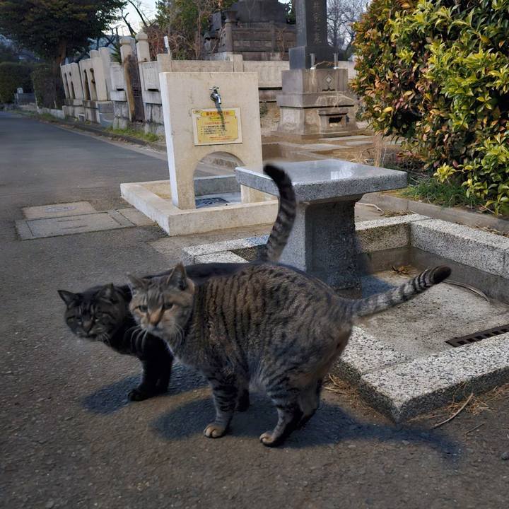 6dce5874 5f1c 434b 89c4 cf3f65961df4 1706798681462