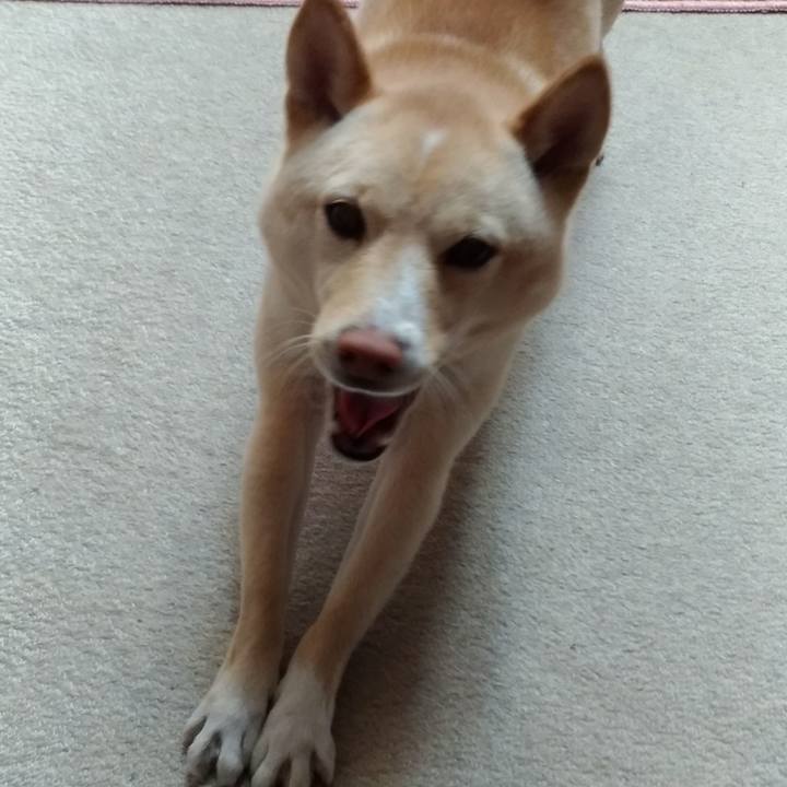 6dce7741 a834 4d4d 8099 0a1952db772c 1547102917928