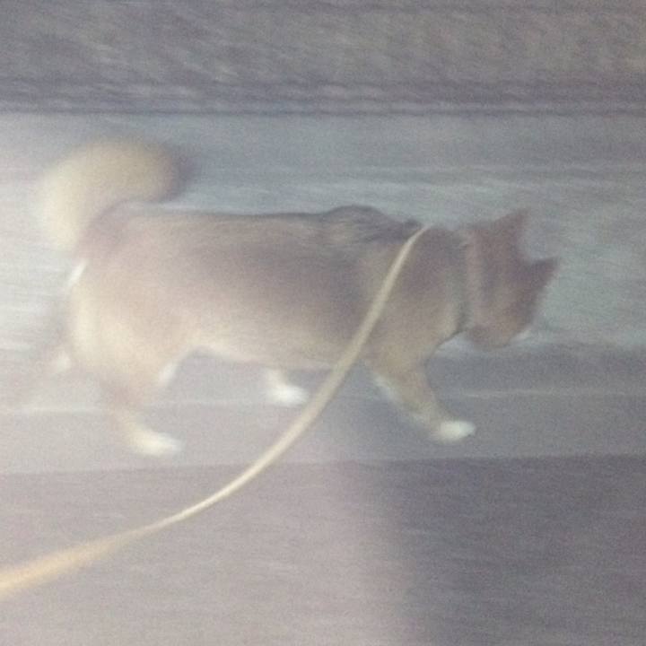 6dcebe72 b4da 4018 bede 41d2da27a07c 1521552526383