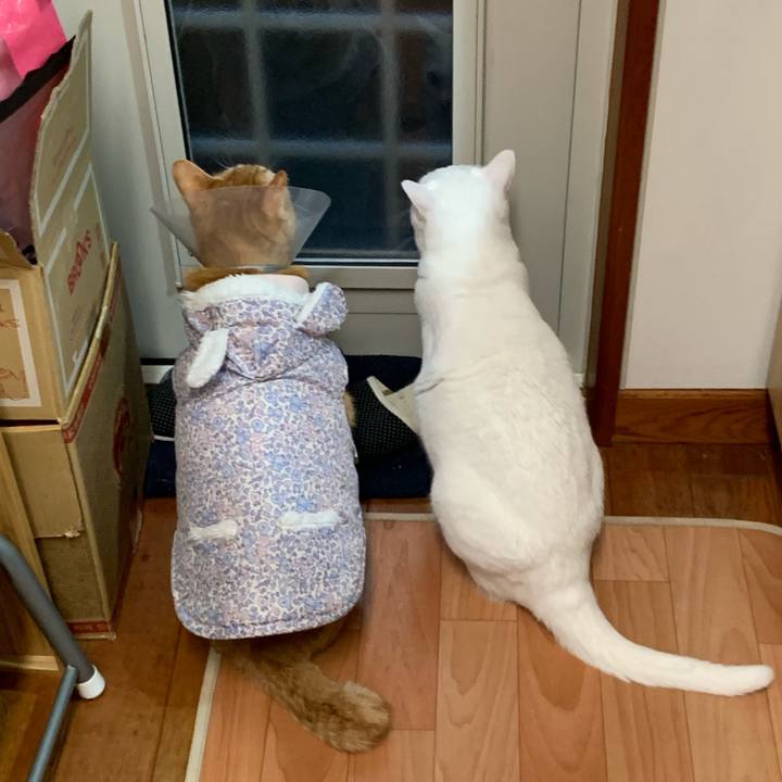 6dcef302 1895 405e 81dd a10fccc4e25f 1620819988963