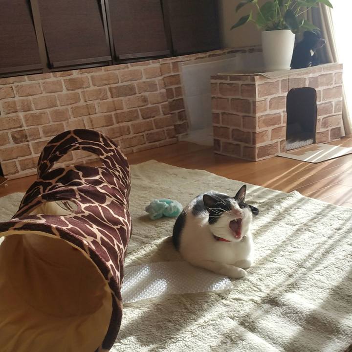 6dceffbc 0de1 4d74 b414 97bf2c4a2833 1576460655998