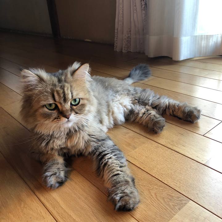 6dcf684c 37cc 4acb 9c3d 882293a3fb31 1562930968054