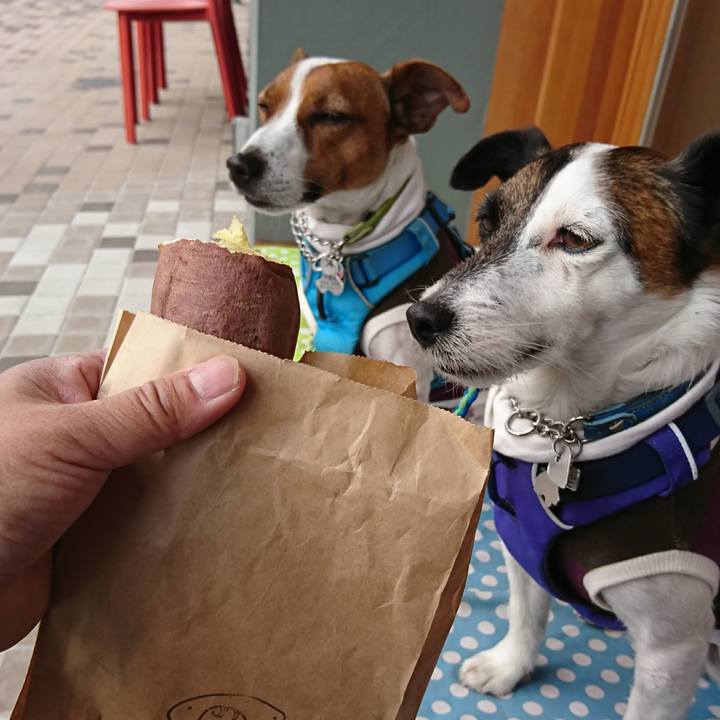 6dcf6a05 f8c0 46a7 a9c6 6c962e459c50 1615016959094