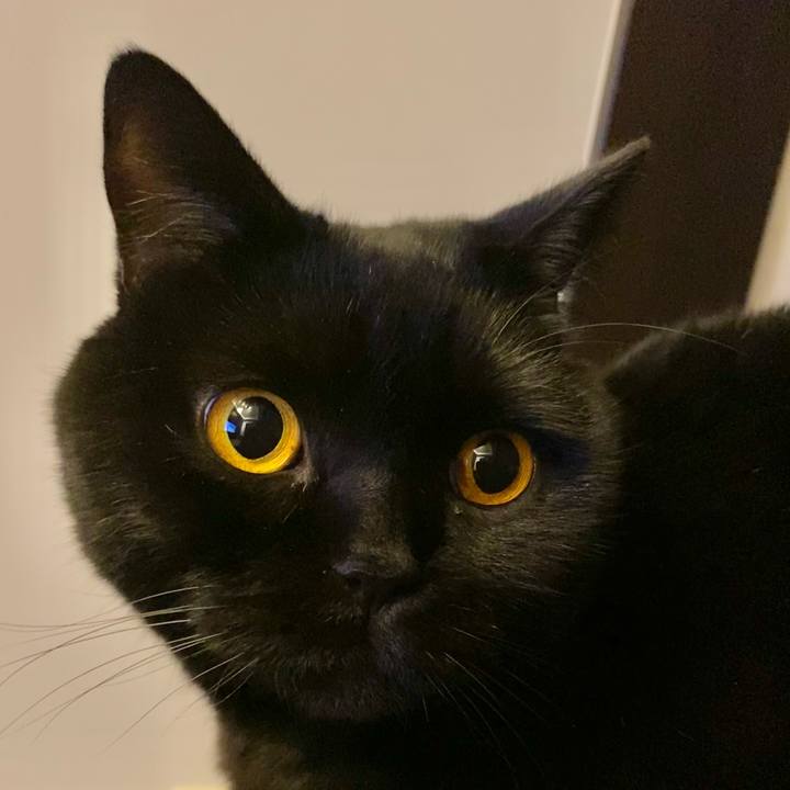 6dcf82ae 04fe 4282 a777 dcdc4f37ae06 1646489339147