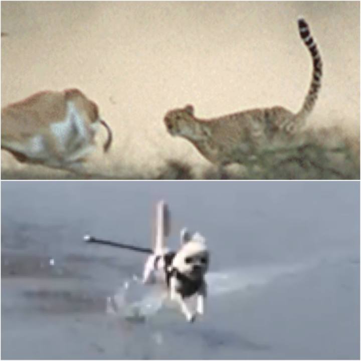 6dcf8e1c 4e9b 401b ad7a 40f62ffc0e92 1532489915313