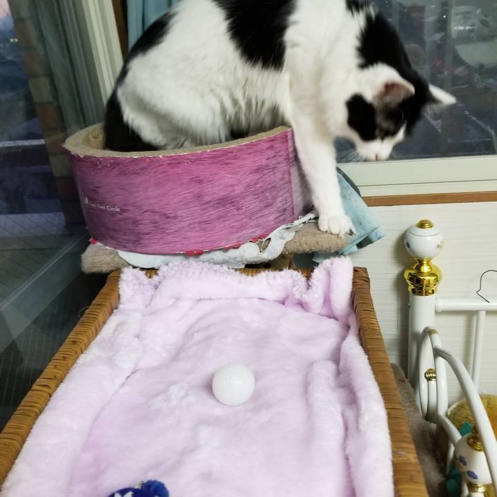 6dcfc5a1 9df3 4b74 80c3 d73e18f4a6b5 1552294934345