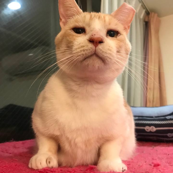 6dcfcee6 f54e 4ee4 8271 d3e83f5476eb 1539786806813