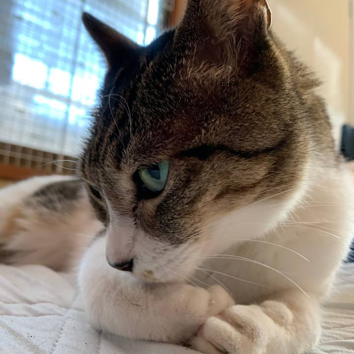 6dcfd9cf 152a 4f56 85c3 e324c612c7ce 1568423810009