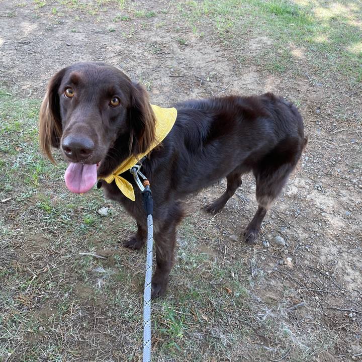 6dcfed42 65e2 4a6e 9322 181d9ec850c0 1620096121154