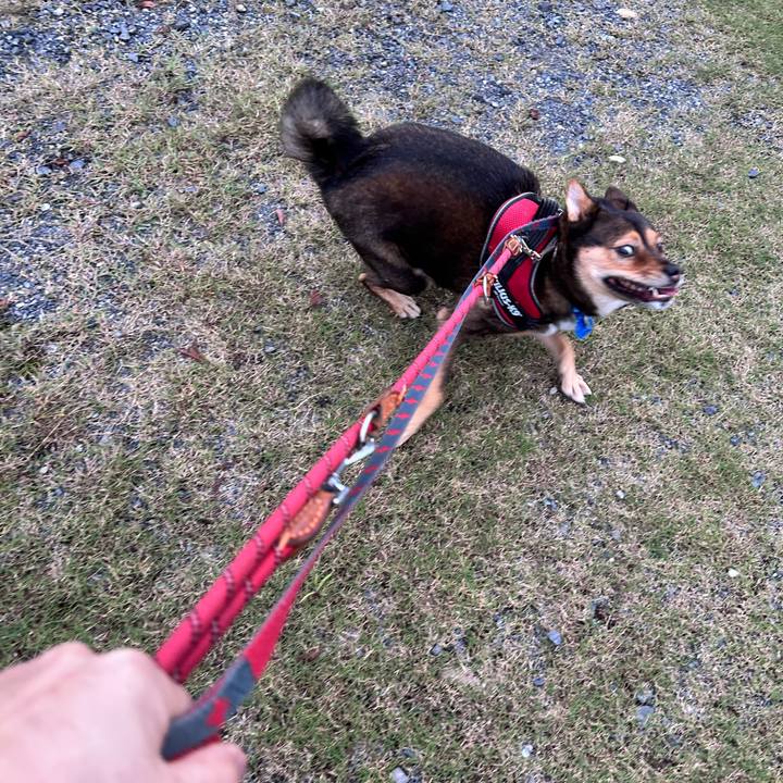 6dd07811 51d2 4985 ae2d b03e014b9be9 1761307034272