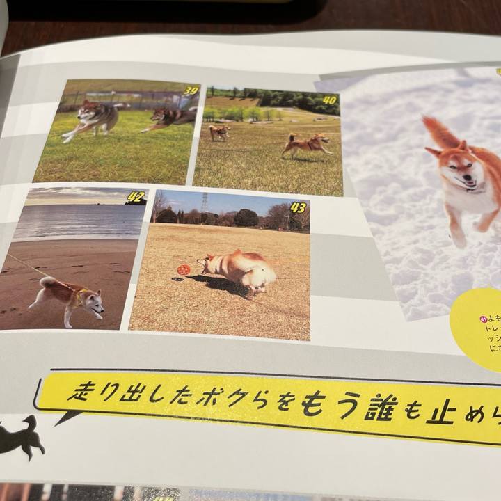 6dd0cfda 6ad2 47ef b1e6 c2effd8c2269 1648707378525