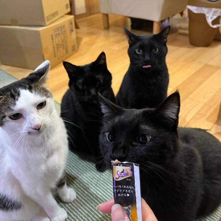 6dd0e2c1 9a09 4528 853c 19174eeb3f71 1704034478875