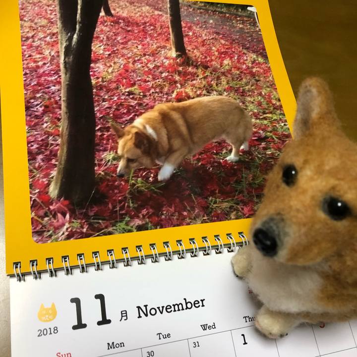 6dd0f3c3 79c9 4a46 b0b3 e32ef0cde6b0 1541053237608