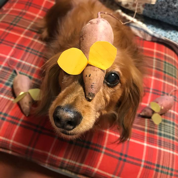 6dd10008 1bc4 4104 8323 f60f9c5b1a59 1578821285163