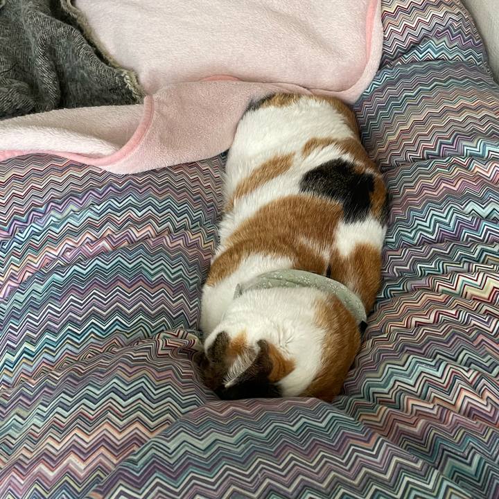 6dd11149 b549 46a4 989c 59be9499c4fa 1677895224445