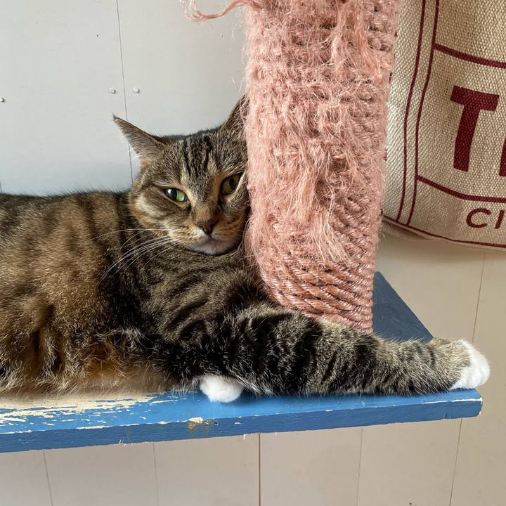 6dd14288 786e 4530 99bf e1253ba34106 1627004964048