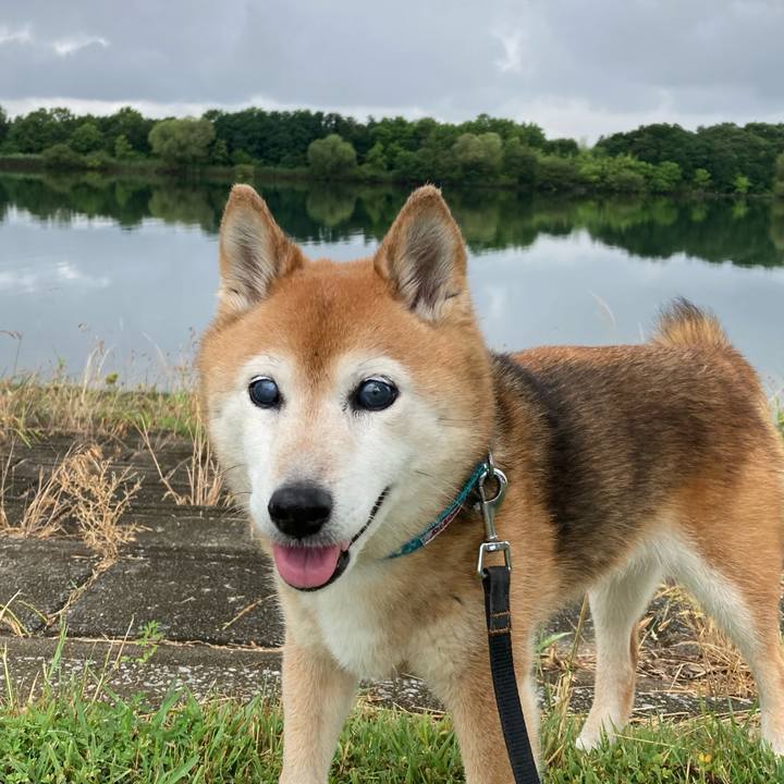 6dd14910 899c 4143 ac1e fb1d0275d508 1750839367294