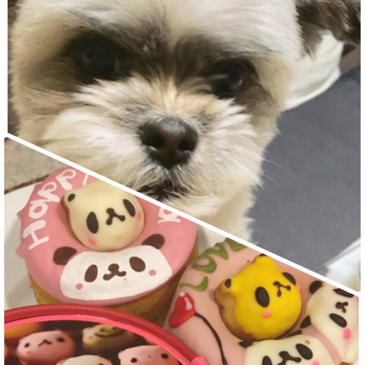 6dd15368 fe64 4de9 9561 ff4c422498a1 1517454265228