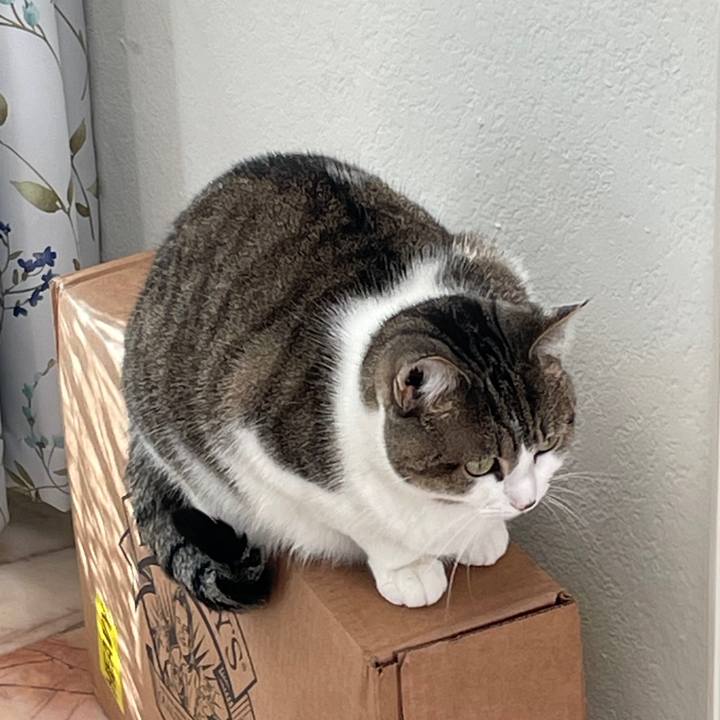 6dd176ec f4d4 40bf 8212 4f3edbcfafd3 1769553922302