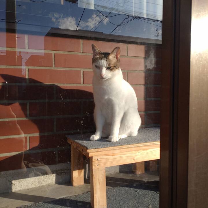 6dd18a6e 3175 48ee 86b5 92d92553d149 1742634293676