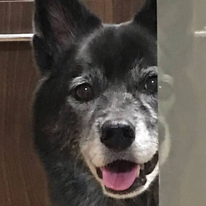 6dd18e7c a01e 41f7 bdfc f8d35a3297f7 1539695145521